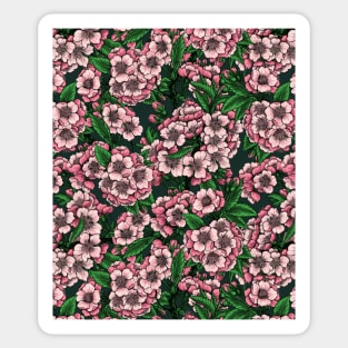 Cherry blossom on dark green Sticker